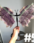 Fluorite Butterfly Wings