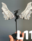 Dragon Wings