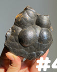 Botryoidal Hematite Specimen