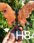 Small Butterfly Wings