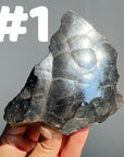 Botryoidal Hematite Specimen