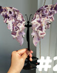 Dream Amethyst Big Butterfly