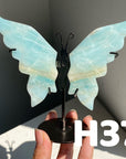 Small Butterfly Wings