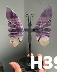 Small Butterfly Wings