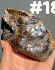 Botryoidal Hematite Specimen