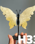 Small Butterfly Wings