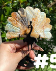 Clearance Peacock Wings