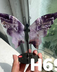 Small Butterfly Wings