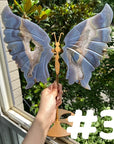 Druzy Agate Butterfly Wings