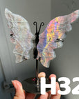 Small Butterfly Wings