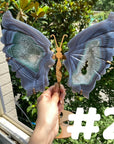 Druzy Agate Butterfly Wings