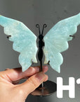 Small Butterfly Wings