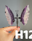 Small Butterfly Wings