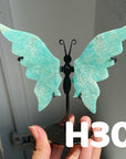 Small Butterfly Wings