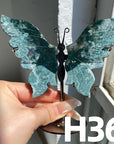 Small Butterfly Wings