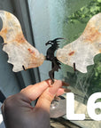 Dragon Wings