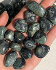 Kambaba Jasper Tumble