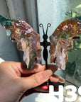 Small Butterfly Wings