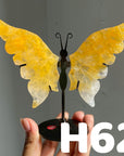 Small Butterfly Wings