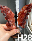 Small Butterfly Wings