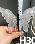 Small Butterfly Wings
