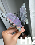 Small Butterfly Wings