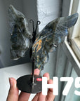 Small Butterfly Wings
