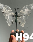 Small Butterfly Wings