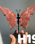 Small Butterfly Wings