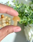 Crystal Mini Mushroom