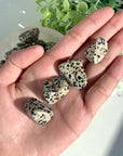 Dalmation Jasper Tumble