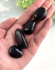 Black Obsidian Tumble