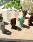Mystery Mini Owl