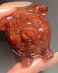 Strawberry Pig