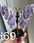 Small Butterfly Wings