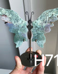 Small Butterfly Wings