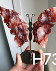 Small Butterfly Wings