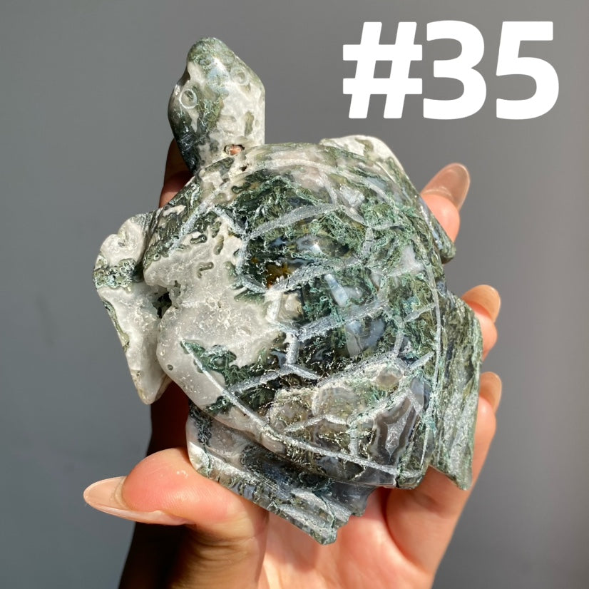 Moss Agate Turtle