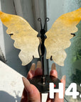 Small Butterfly Wings
