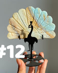 Clearance Peacock Wings(imperfect)