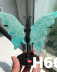 Small Butterfly Wings