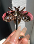 Crystal Bees