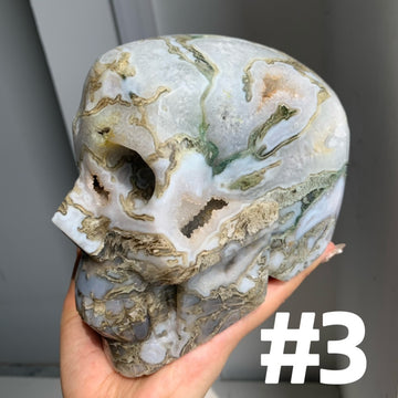 Large Moss Agate Skull