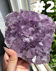 Large Amethyst Cluster