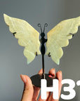 Small Butterfly Wings