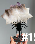 Clearance Crystal Spider Web