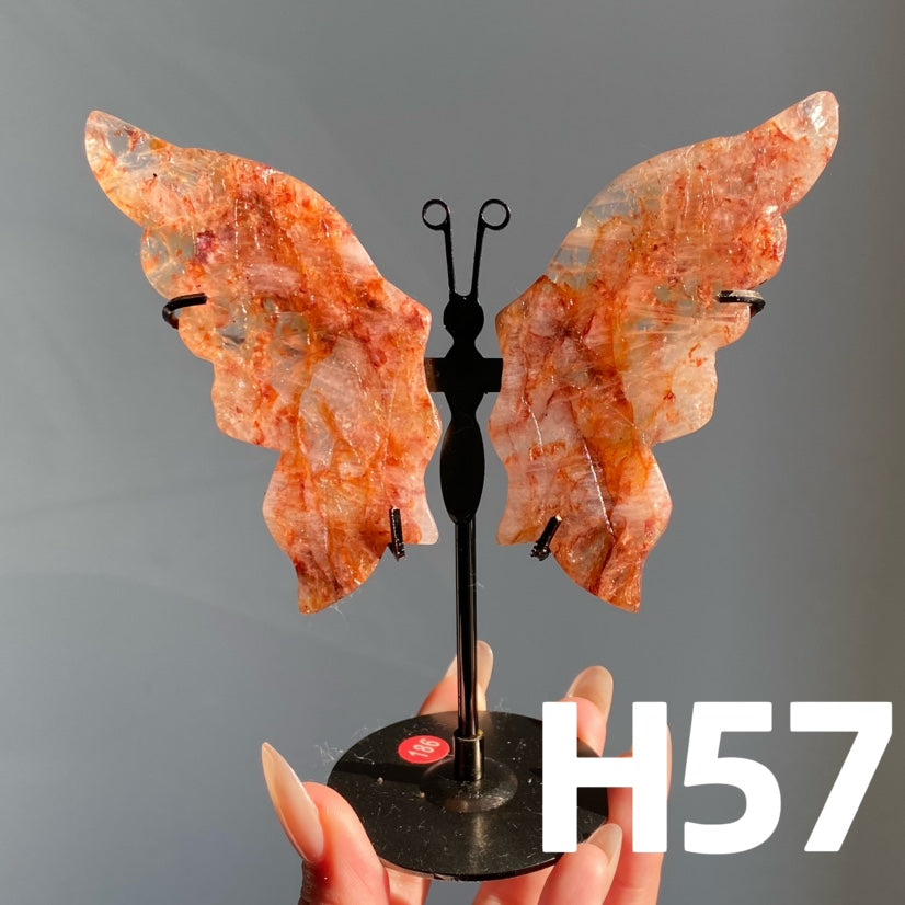 Small Butterfly Wings