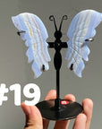 Blue Lace Agate Butterfly