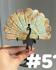Clearance Peacock Wings(imperfect)