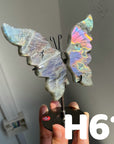 Small Butterfly Wings